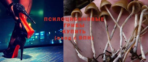 альфа пвп Армянск
